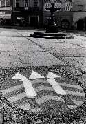 zv�t�it
